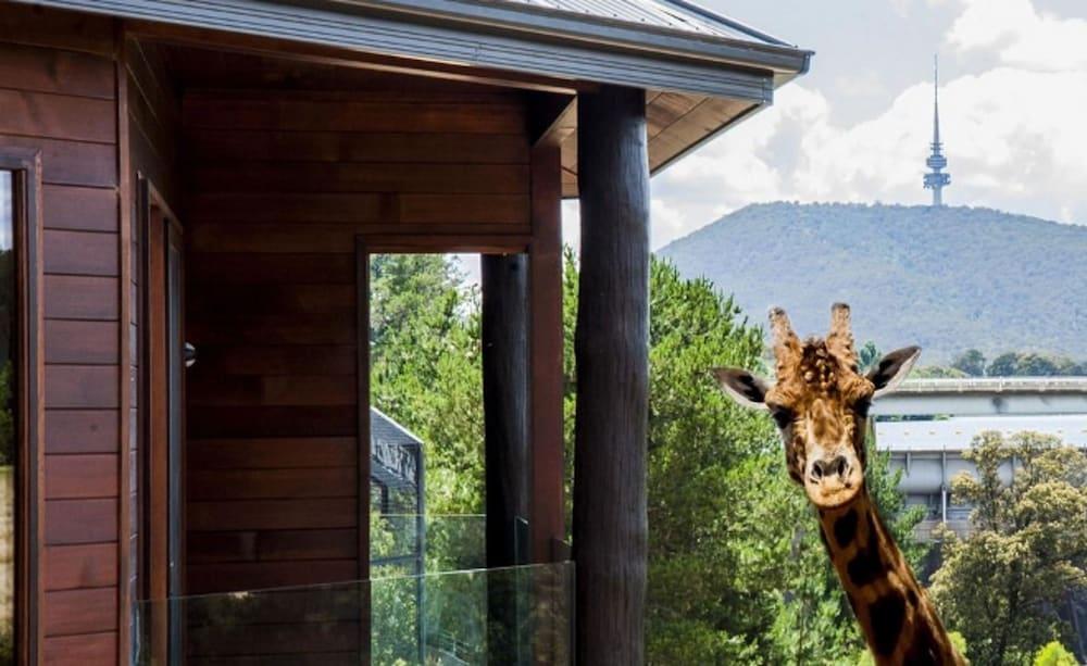 Jamala Wildlife Lodge Канбера Екстериор снимка