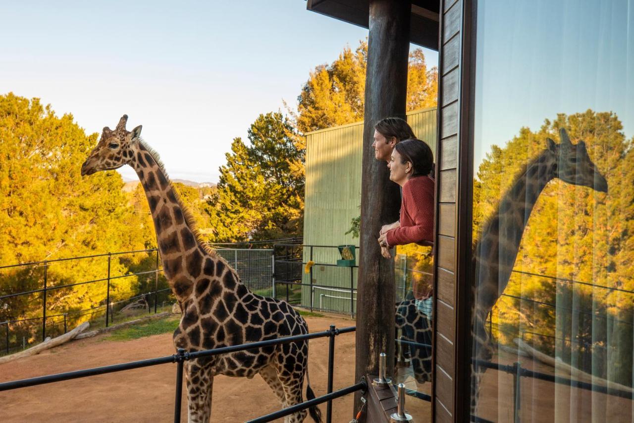 Jamala Wildlife Lodge Канбера Екстериор снимка
