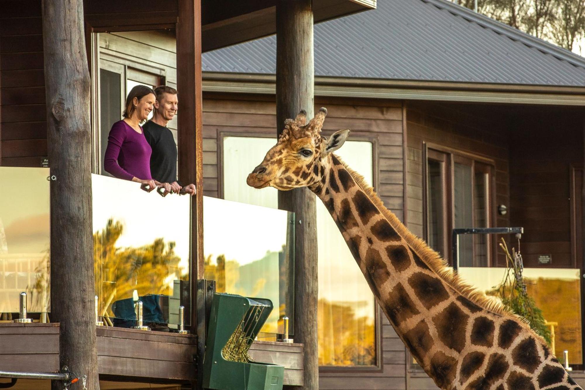 Jamala Wildlife Lodge Канбера Екстериор снимка