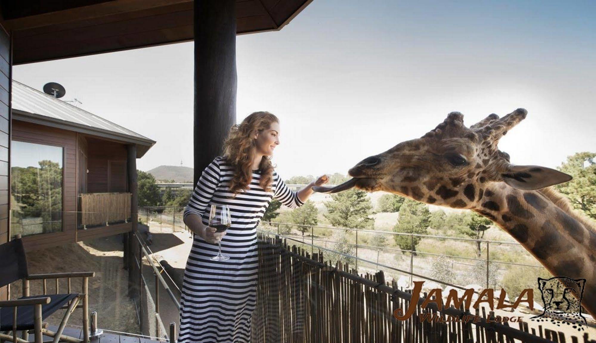 Jamala Wildlife Lodge Канбера Екстериор снимка